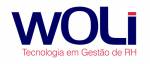Woli Consultoria e Treinamento Araxá (MG)