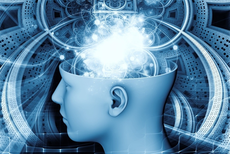 IMM e Vamos Ler promovem painel digital sobre Inteligência Comportamental